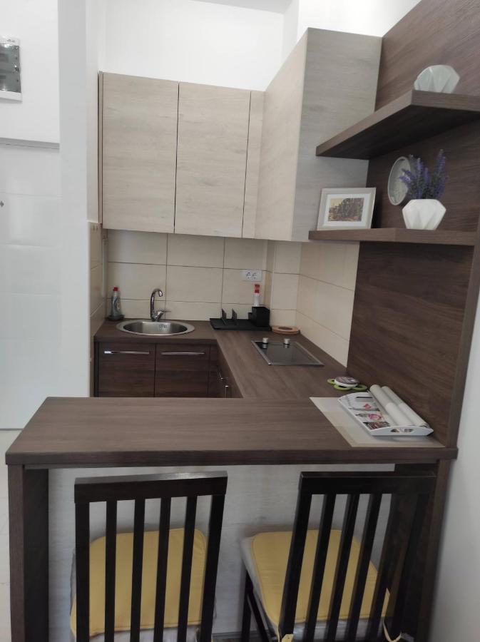 Studio Apartman Dani Banja Koviljača 外观 照片