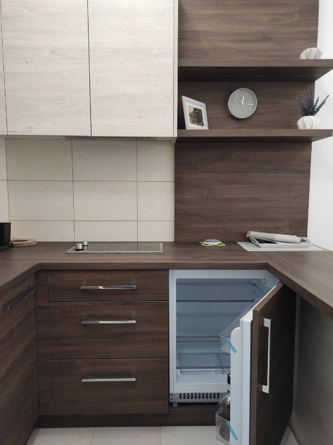 Studio Apartman Dani Banja Koviljača 外观 照片