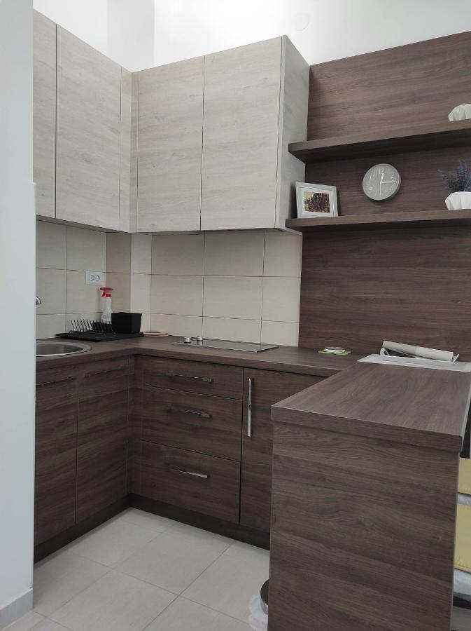 Studio Apartman Dani Banja Koviljača 外观 照片