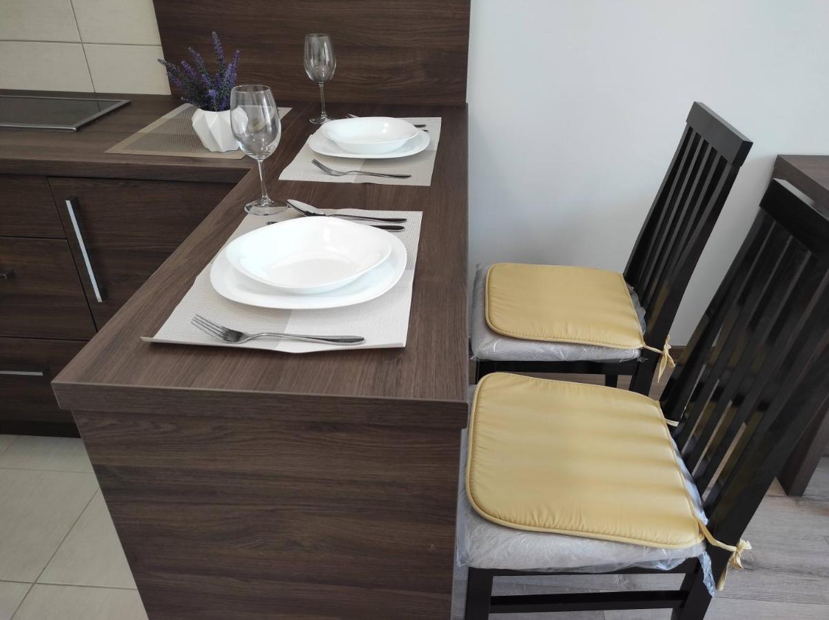 Studio Apartman Dani Banja Koviljača 外观 照片