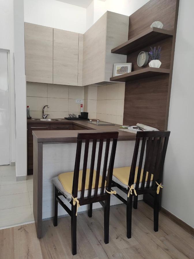 Studio Apartman Dani Banja Koviljača 外观 照片